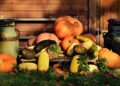 Pumpkins types, facts and 3 unique recipes