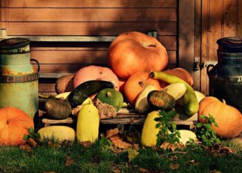 Pumpkins types, facts and 3 unique recipes