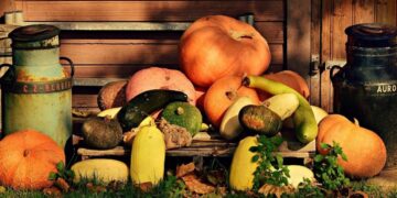 Pompoensoorten, feiten en 3 unieke recepten