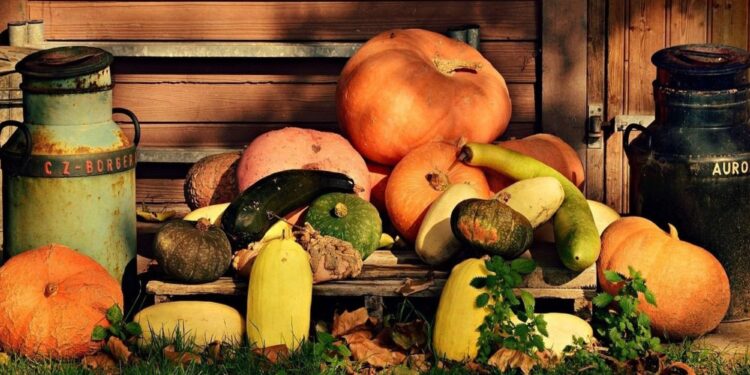 Pompoensoorten, feiten en 3 unieke recepten
