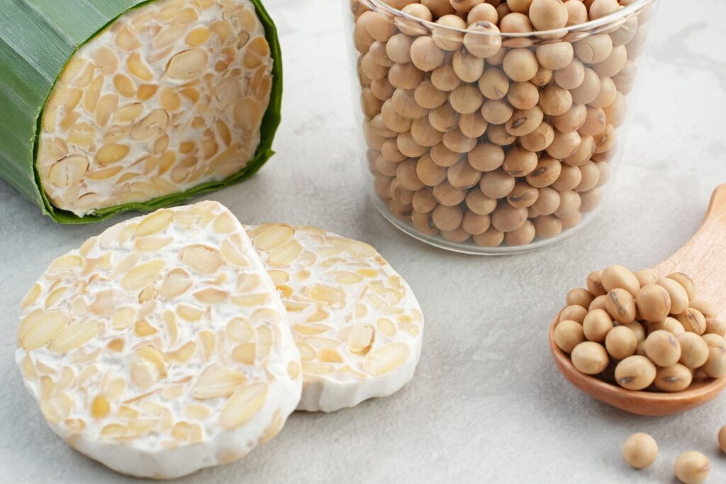 麹菌スターターカルチャーを使ったアジア料理における発酵の基本を示す伝統的な味噌とテンペ