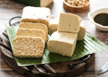 fermentation basics tempeh soy