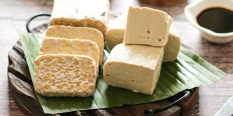 発酵の基本 テンペ 大豆