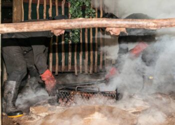 _hangi feast modern oven in New Zealand