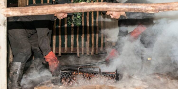 _hangi festa forno moderno in Nuova Zelanda