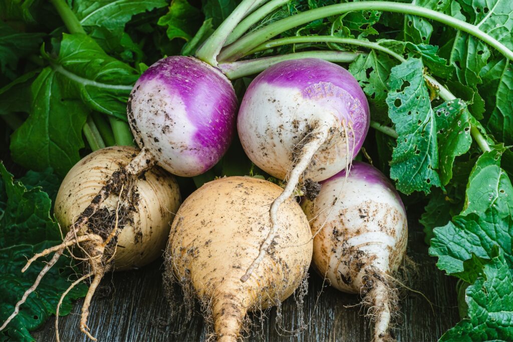 turnips winter recipes