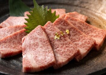 Japanese wagyu beef showcasing premium marbling and grading system quality standards