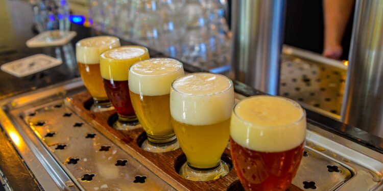 Beer workshop tasting flight with craft beer samples during beer workshop