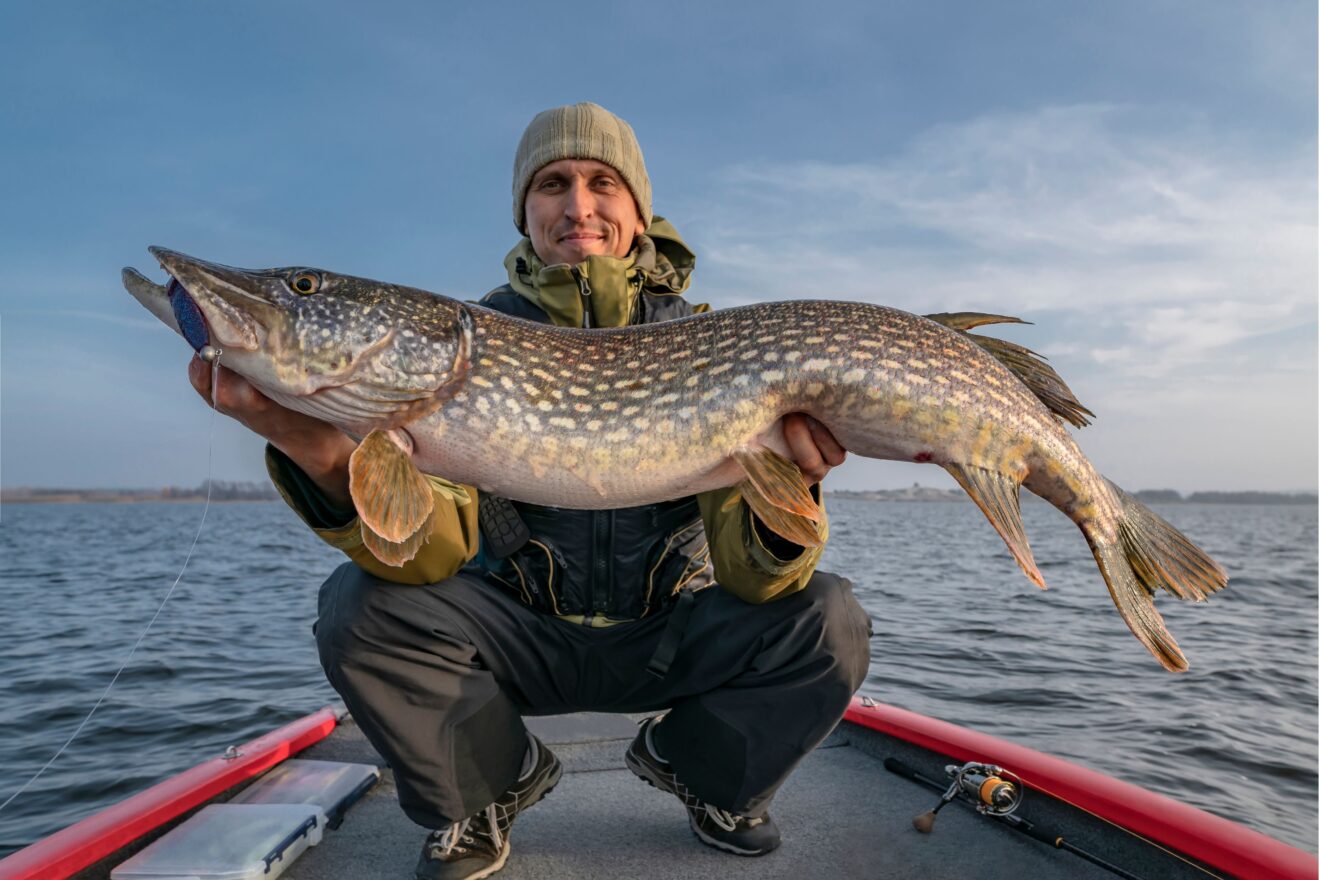 April Fools: Fish, Food & Fun Origins - GUSTOwebzine