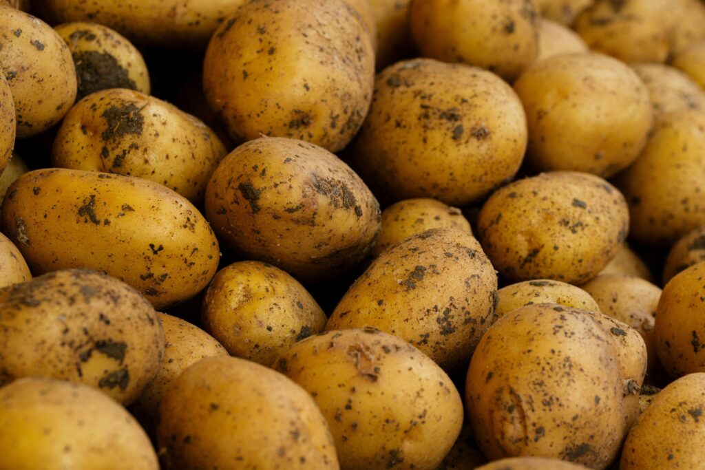 bintjes potatoes for belgian fries gusto webzine