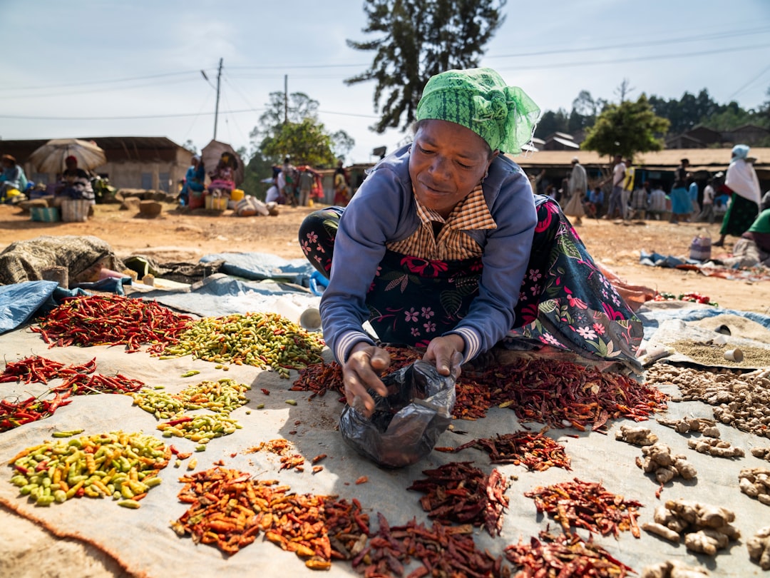 A market vendor in West Africa displaying rows of vibrant spice blends in open sacks at a busy outdoor market stall