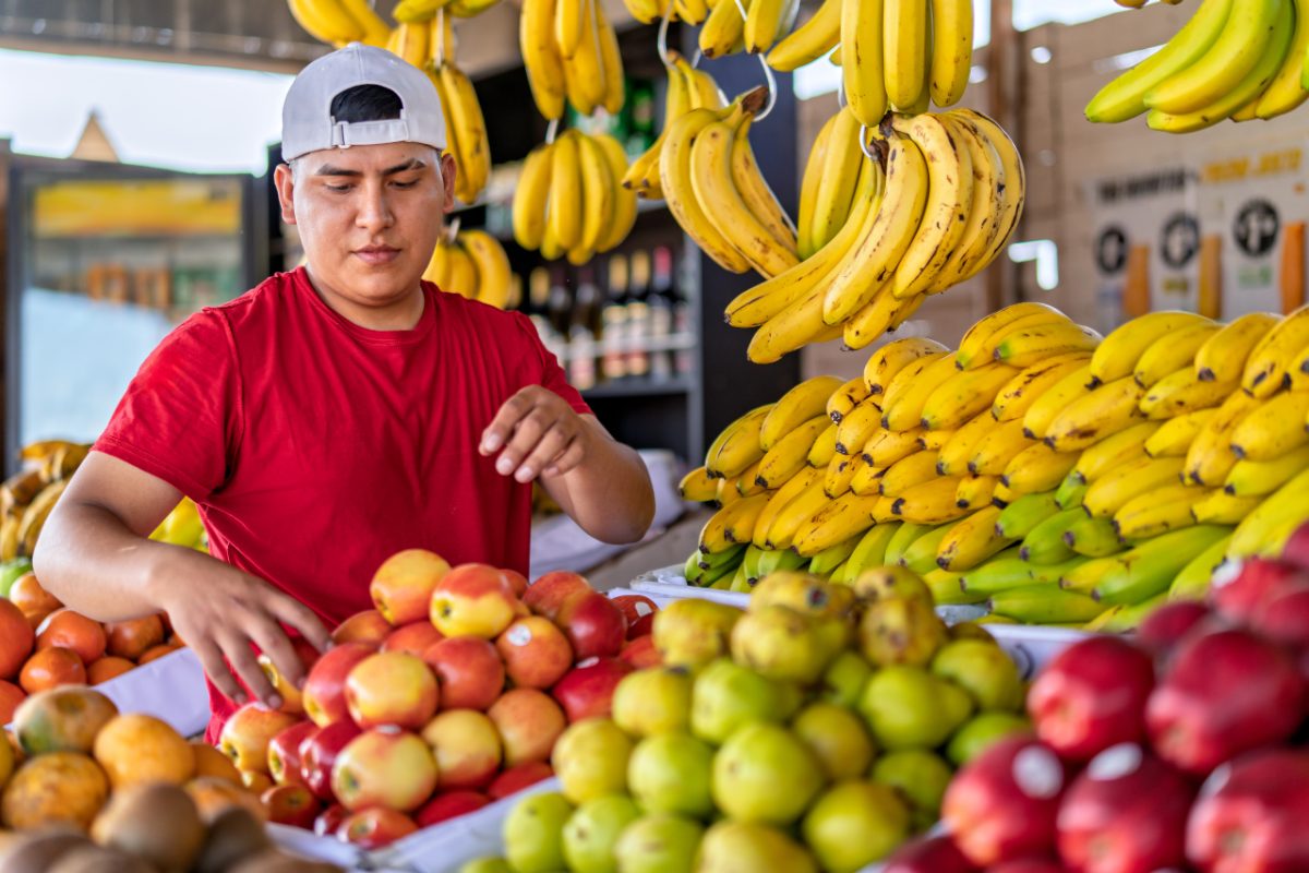 A chef examining stone fruit on a kitchen counter, checking ripeness before deciding on the correct storage method