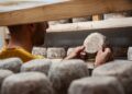 A skilled cheesemaker inspects an aged wheel in a cave cellar, representing the depth of artisan cheese craft