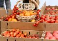 chef-selecting-ripe-tomatoes-market-unsplash - GUSTOwebzine Un chef selecciona cuidadosamente ingredientes de platos de tomate maduro en un mercado mediterráneo de verano