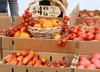 chef-selecting-ripe-tomatoes-market-unsplash - GUSTOwebzine Un chef selecciona cuidadosamente ingredientes de platos de tomate maduro en un mercado mediterráneo de verano