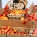 chef-selecting-ripe-tomatoes-market-unsplash - GUSTOwebzine Un chef selecciona cuidadosamente ingredientes de platos de tomate maduro en un mercado mediterráneo de verano