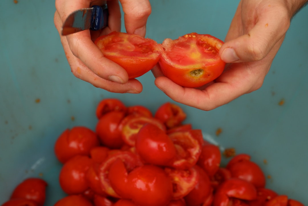 Una familia trabaja junta para preservar ingredientes de platos de tomate durante el ritual de passata de agosto