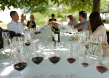 Outdoor al fresco lunch with a long table, wine glasses, and bottles as guests chat under trees.