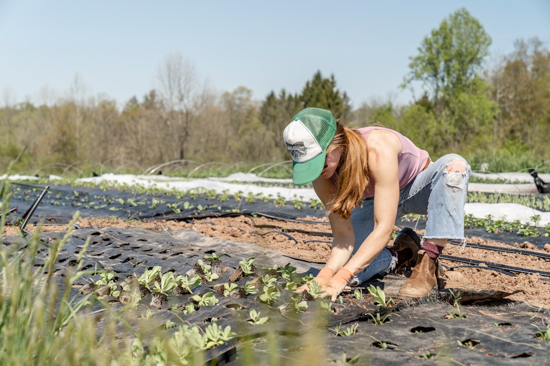 A researcher stands in a sustainable crop field, illustrating how food innovation