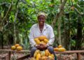 laughing-woman-cocoa-farmer-unsplash - GUSTOwebzine laughing woman cocoa farmer in the forest
