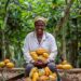 laughing woman cocoa farmer in the forest