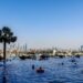 People swimming in a large outdoor pool with palm trees and a distant city skyline under a clear blue sky.