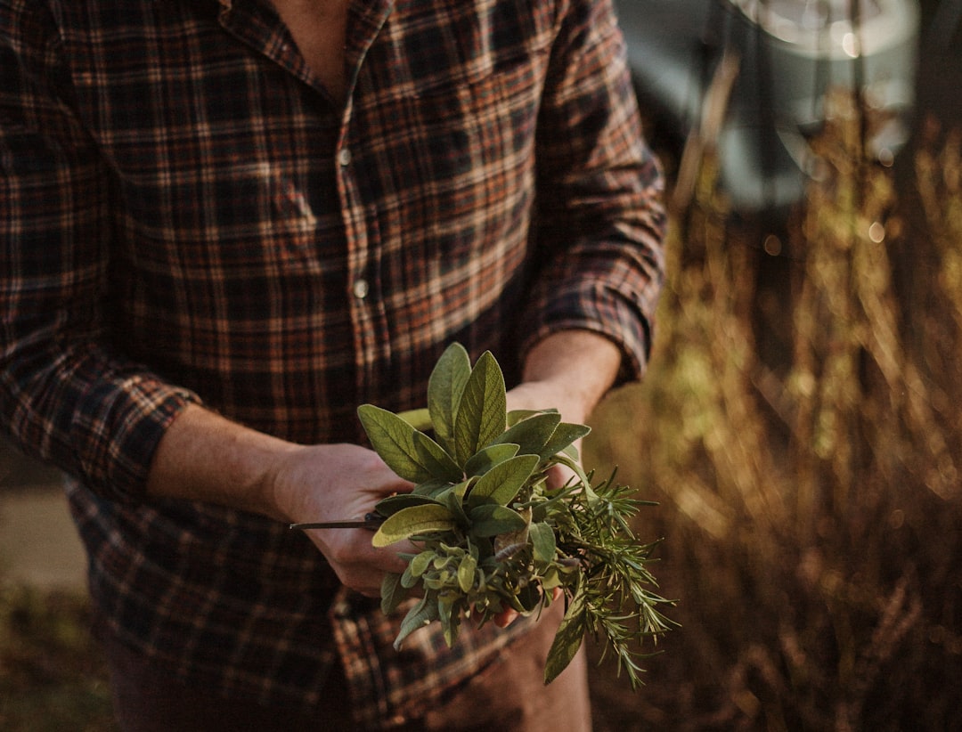 A person holding fresh herbs