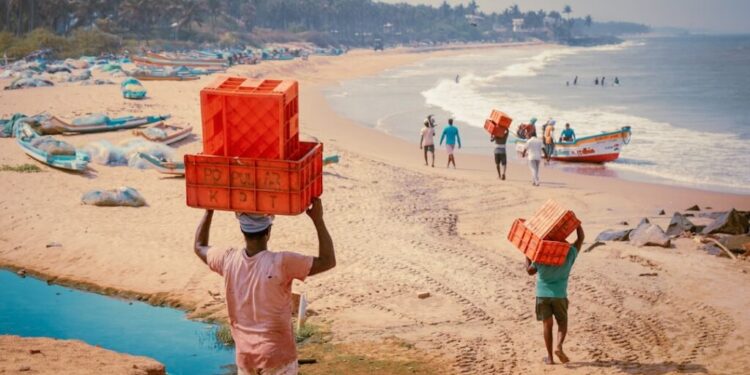 Coastal cuisine Indias most underrated seafood - GUSTOwebzine People carrying red plastic crates on a sandy beach with boats along the shore under a sunny sky.