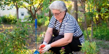 A woman harvesting fresh herbs from a sunny summer garden, cutting stems with small scissors