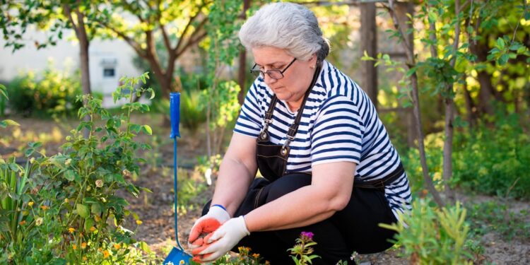 A woman harvesting fresh herbs from a sunny summer garden, cutting stems with small scissors