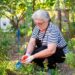 Una donna che raccoglie erbe aromatiche fresche da un orto estivo soleggiato, tagliando i fusti con piccole forbici