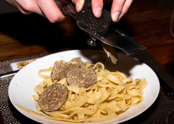 Fettuccine pasta on a white plate with thin truffle shavings being shaved over it by a hand-held slicer.