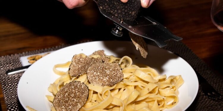 Truffle dinners in NYC this autumn - GUSTOwebzine Fettuccine pasta on a white plate with thin truffle shavings being shaved over it by a hand-held slicer.