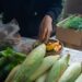 Een hotelchef selecteert seizoensgebonden producten op een lokale markt, wat de waarden van cultureel verankerde eetprogramma's weerspiegelt