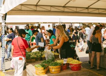 Een vrouw kiest seizoensgroenten op oogstmarkten in Europa tijdens september, met kratten vol verse producten uitgestald.