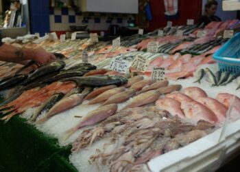 Seafood stall with multiple fish laid on crushed ice and handwritten price signs at a market.