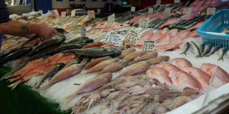 Seafood market prices in Dubai this autumn - GUSTOwebzine Seafood stall with multiple fish laid on crushed ice and handwritten price signs at a market.