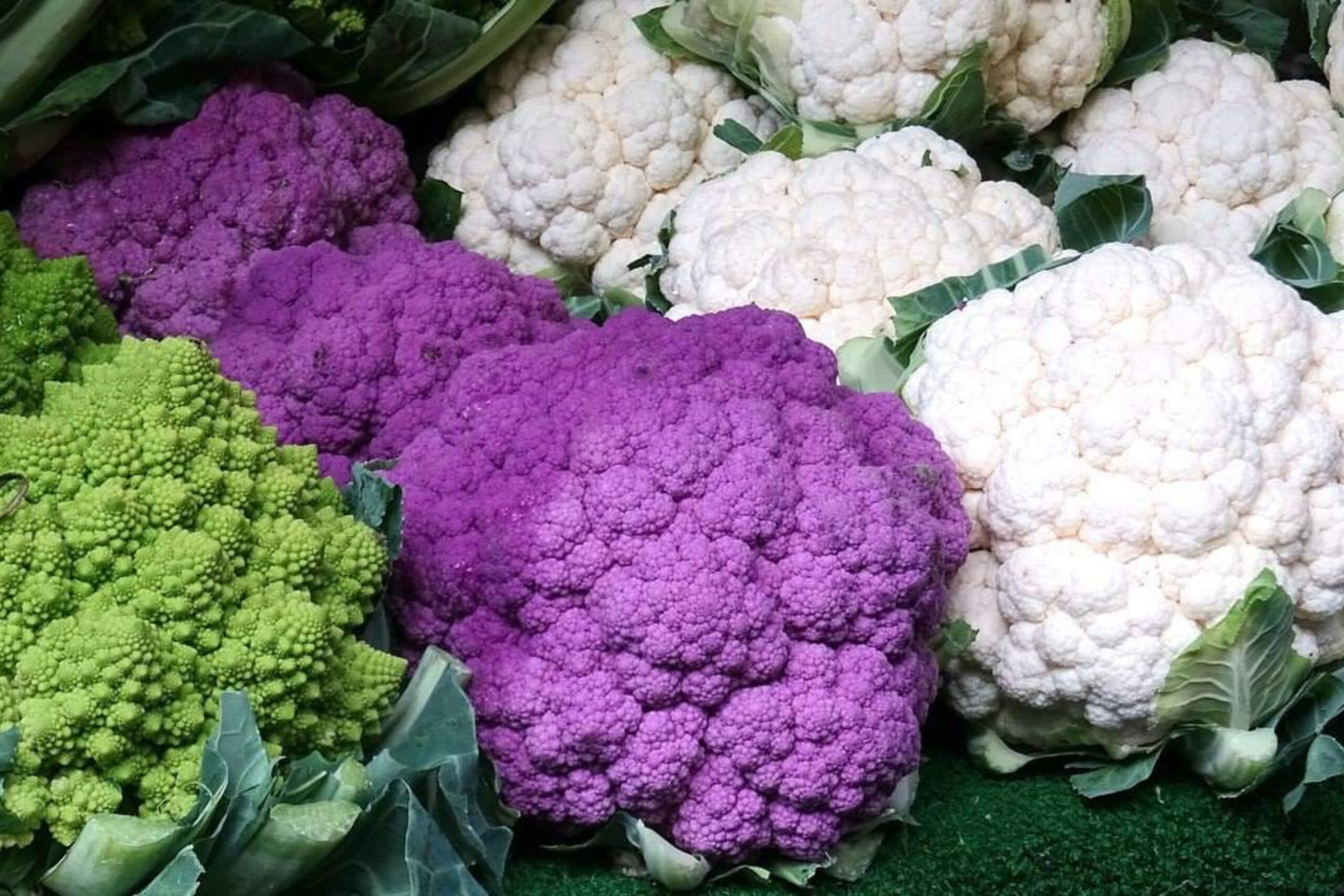 diferentes variedades de couve-flor em um mercado