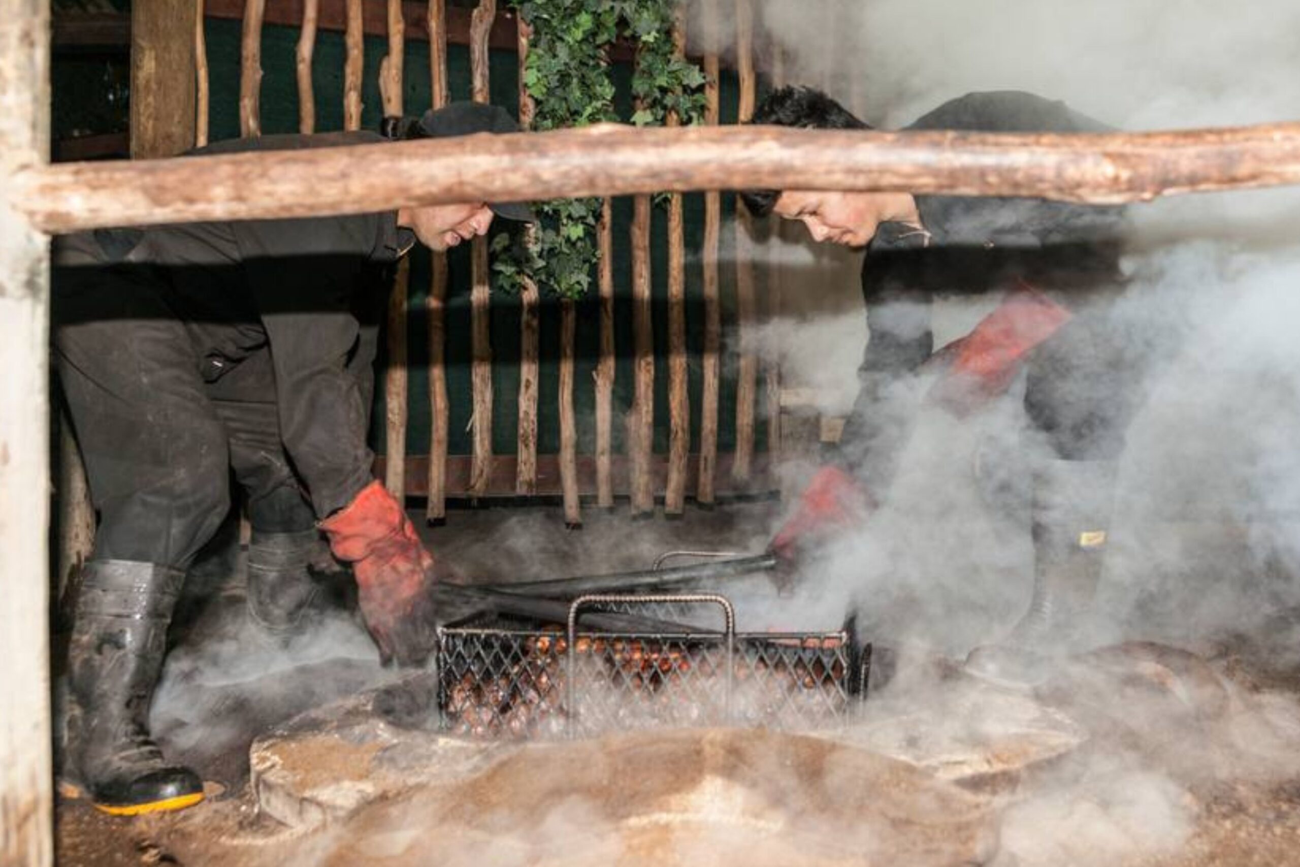 _hangi feast modern oven in New Zealand