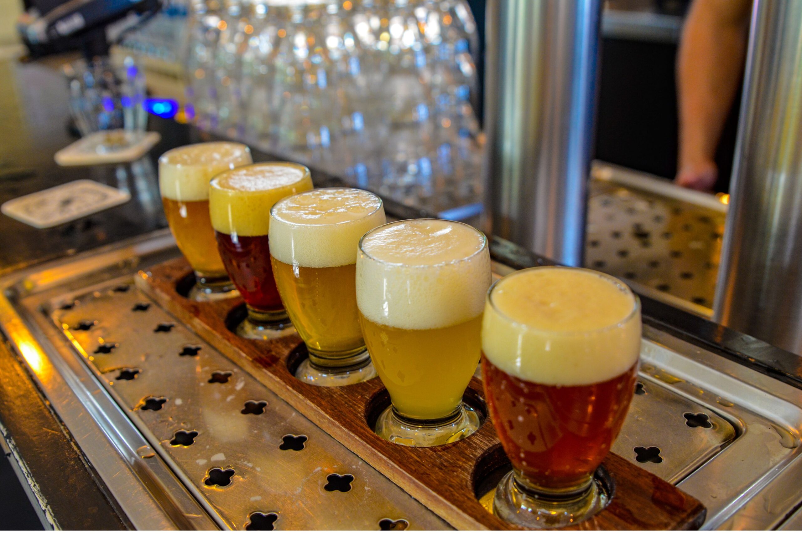 Beer workshop tasting flight with craft beer samples during beer workshop